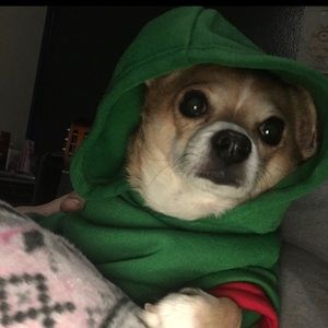 Meet your Posher, Lilyam